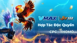 VMAX678